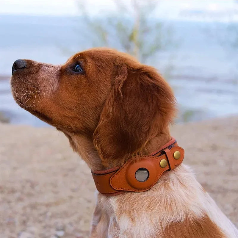 Hank's Airtag Collar Green